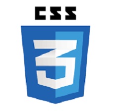 CSS3 Logo