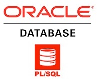 SQL Logo